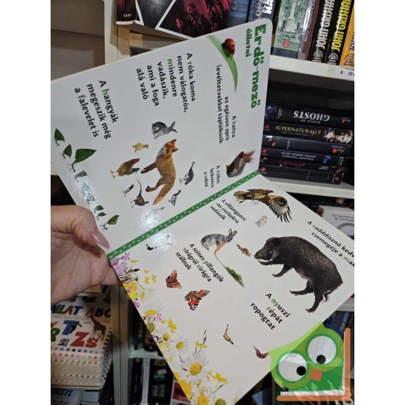 Mit eszik? - vidám, képes lapozgató (keménylapos, új)