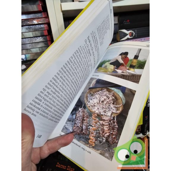 Csányi Gergő, Pap Gábor, Solymos Péter: Vietnam (Dekameron útikönyvek)