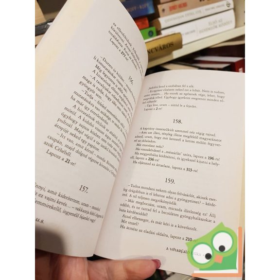 Indira Myles: A Viharfaló titka (Mágus kalandorkrónikák 1.)