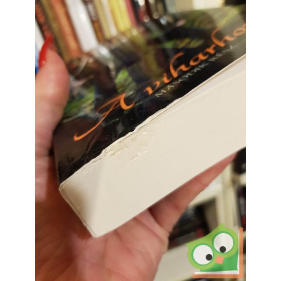 Munkácsi Gabriella: A viharhozó (Sorsfészek 2.)