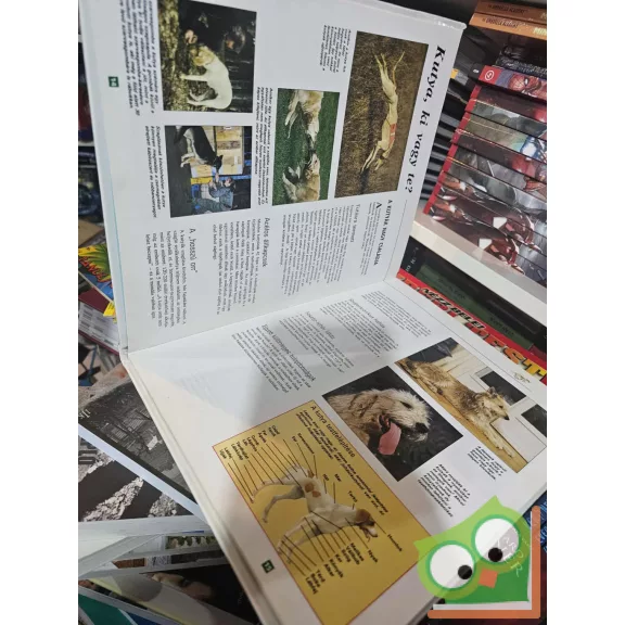 Dominique Simone - Serge Simone: A világ nagy kutyakatalógusa