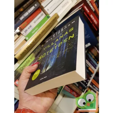 Stacy Willingham: Villanás a sötétben