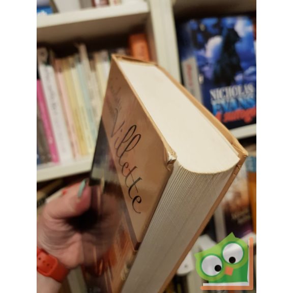 Charlotte Brontë: Villette