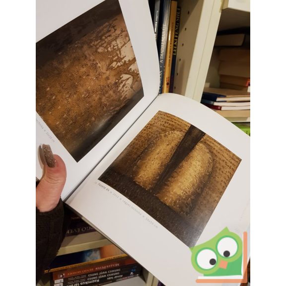 Vinczeffy László erdélyi festőművész  (Kortárs magyar művészet)