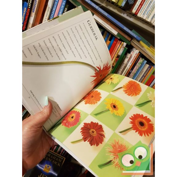 Jane Packer: Virágcsokrok villámgyorsan