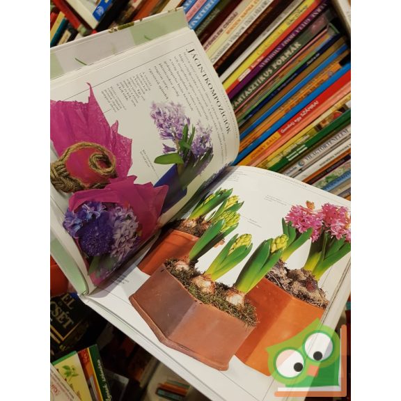 Jane Packer: Virágcsokrok villámgyorsan