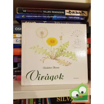 Richter Ilona: Virágok
