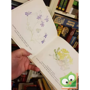 Richter Ilona: Virágok