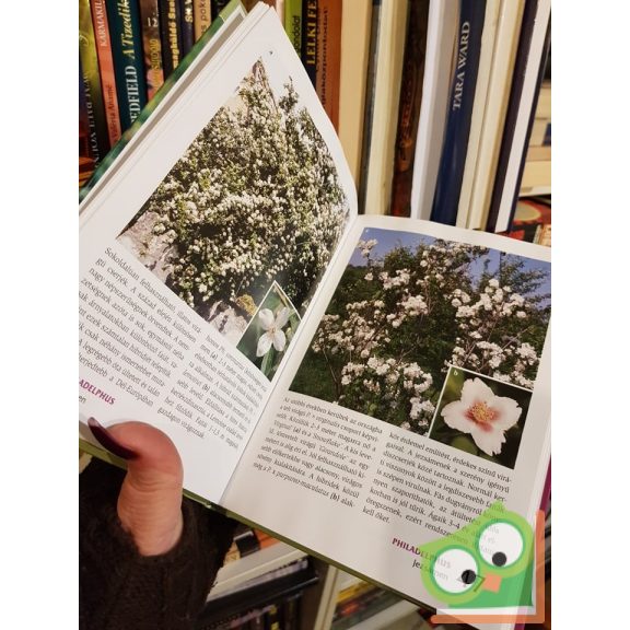 Schmidt Gábor: Virágos díszcserjék