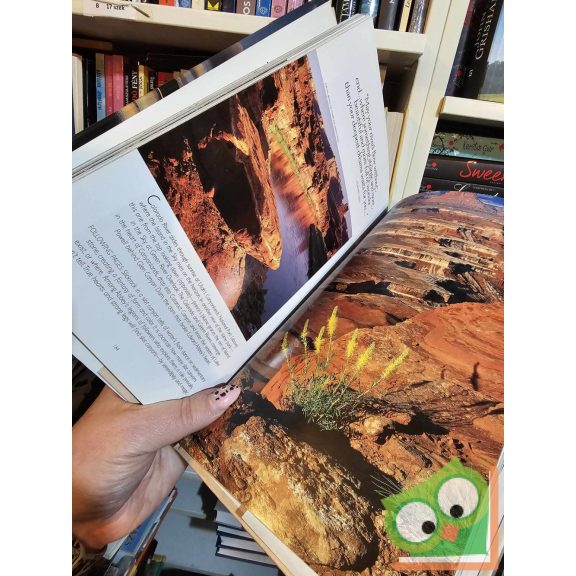 Visions of A Wild America: Pioneers of Preservation