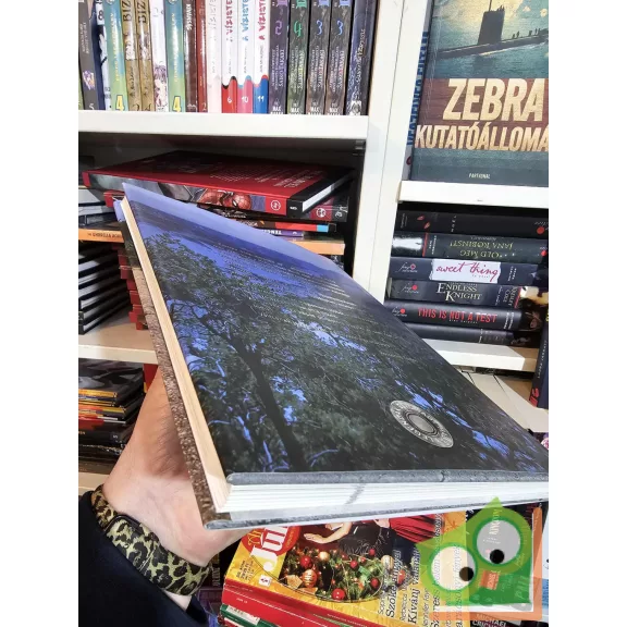 Hobo (Földes László) - Halmágyi Péter: Vissza a 66-os úton (Legendák élve vagy halva) (ritka)