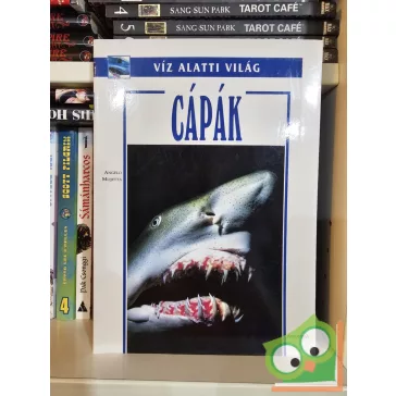 Angelo Mojetta: Cápák (Víz alatti világ)