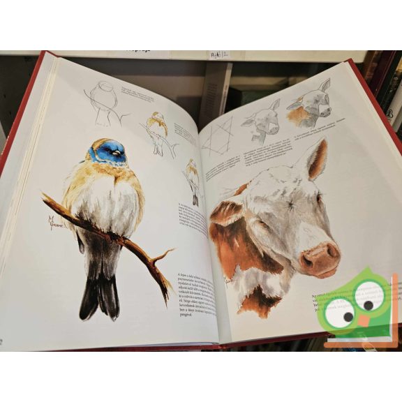 Justin Éva (szerk.): Vízfestmény lépésről-lépésre (Művészképző mesterkurzus)