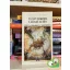 Bistey Zsuzsa: Vízöntőkori újjászületés