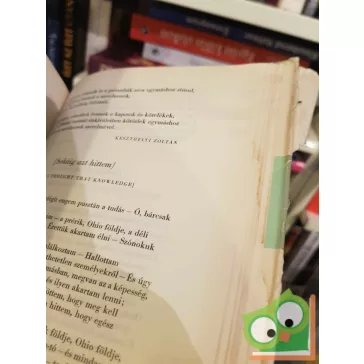 Walt Whitman: Fűszálak (ritka)