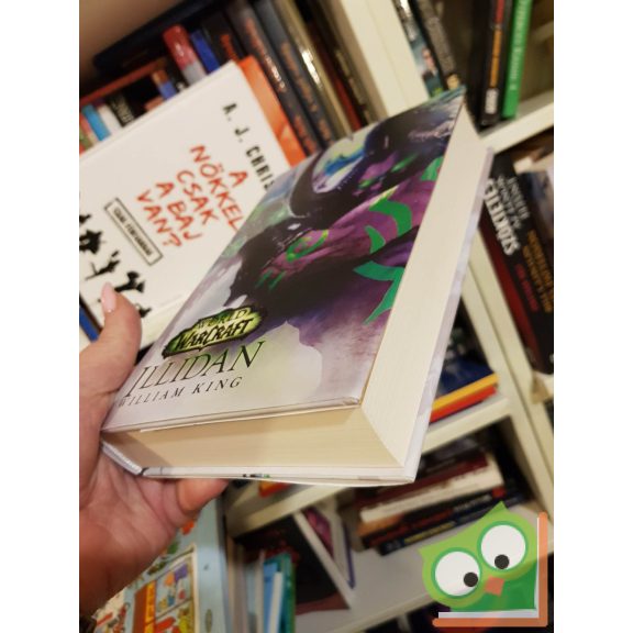 William King: Illidan (World of Warcraft 14.)