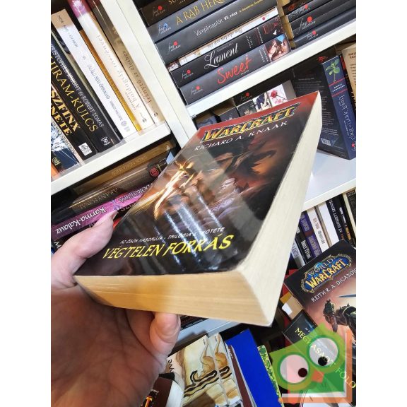 Richard A. Knaak: Végtelen Forrás (Warcraft: Az Ősök Háborúja-trilógia 1.)