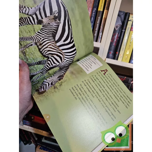 Christina Wilsdon: Zebrák (Szórakoztató állatvilág)