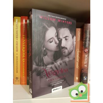 Willow Winters: Végtelen (A bűn szívében 4.)