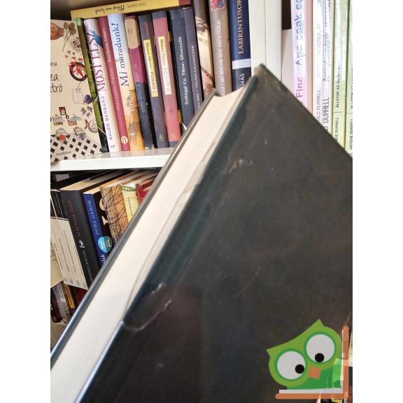 Domokos János (szerk.): XIX. századi német elbeszélők (A világirodalom klasszikusai)