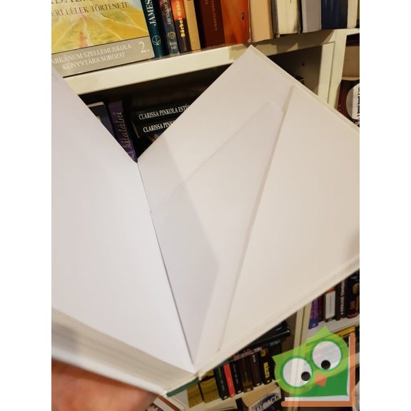 Mensáros László: A XX. század (CD-melléklettel) (Ritka)