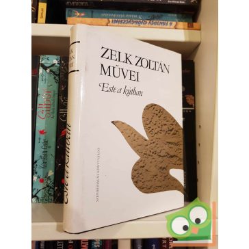 Zelk Zoltán: Este a kútban (Zelk Zoltán művei)