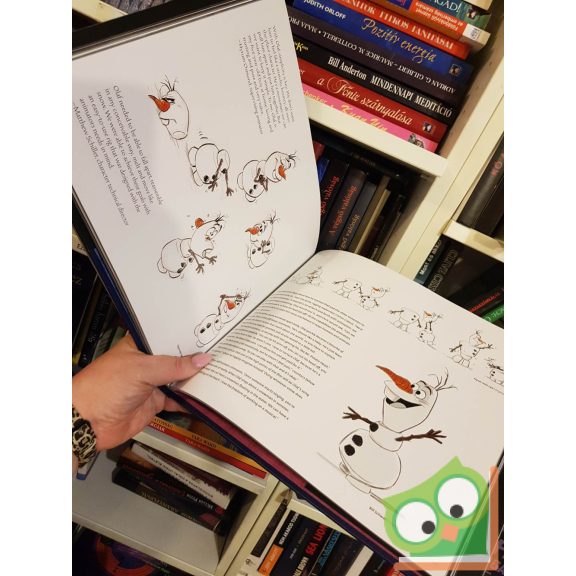 Charles Solomon: The art of Disney Frozen (ritka)