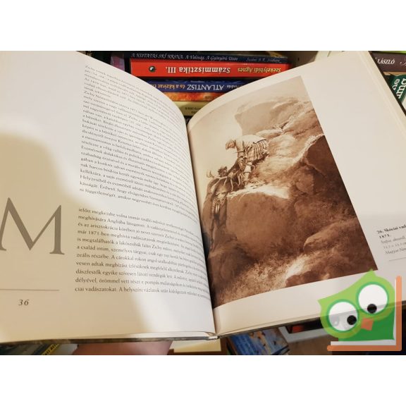 Bajkay Éva: Zichy Mihály (A magyar festészet mesterei 5.)