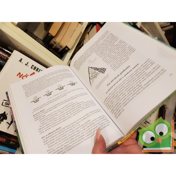 Jószainé Párkányi Ildikó: Zöldfelület-gazdálkodás, parkfenntartás (ritka)