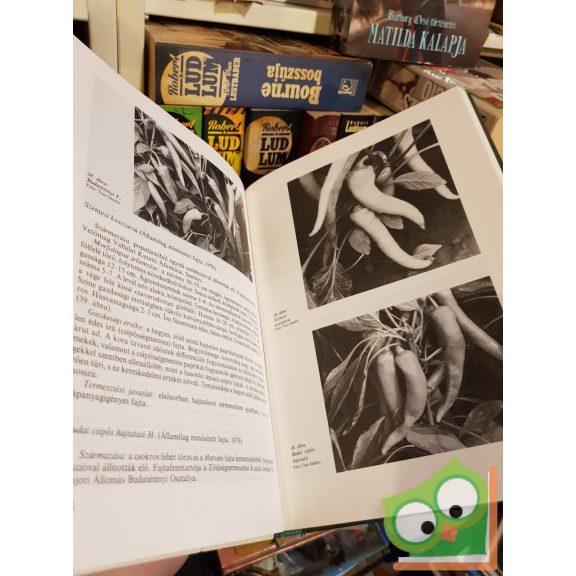 Dr. Kapás Sándor (szerk.): Zöldségfajtáink