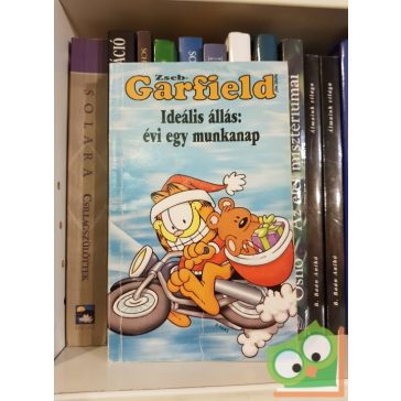   Jim Davis: Zseb-Garfield 31 - Ideális állás: évi egy munkanap