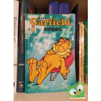 Jim Davis: Zseb-Garfield 76 - Álomgyáros