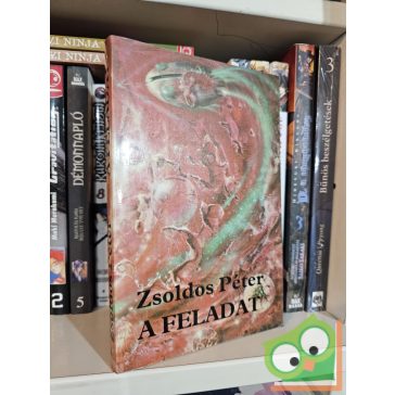 Zsoldos Péter: A feladat