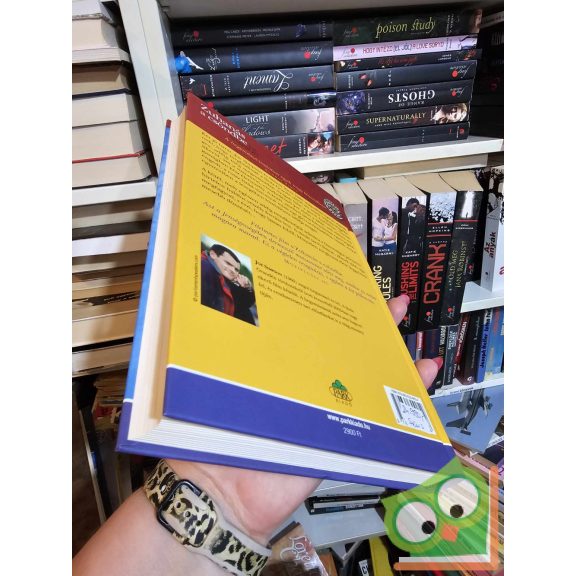 Joe Simpson: Zuhanás a csöndbe (Veszélyes Övezet sorozat) (Erőss Zsolt ajánlásával) (ritka)